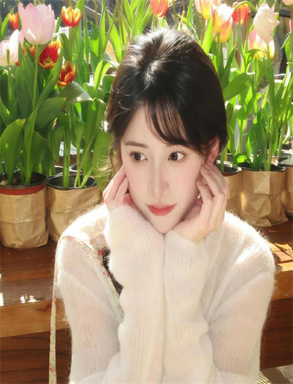 人物深度分析：《新闻记者》中的海外的发行策略与文化适应 认识人物与故事的互动